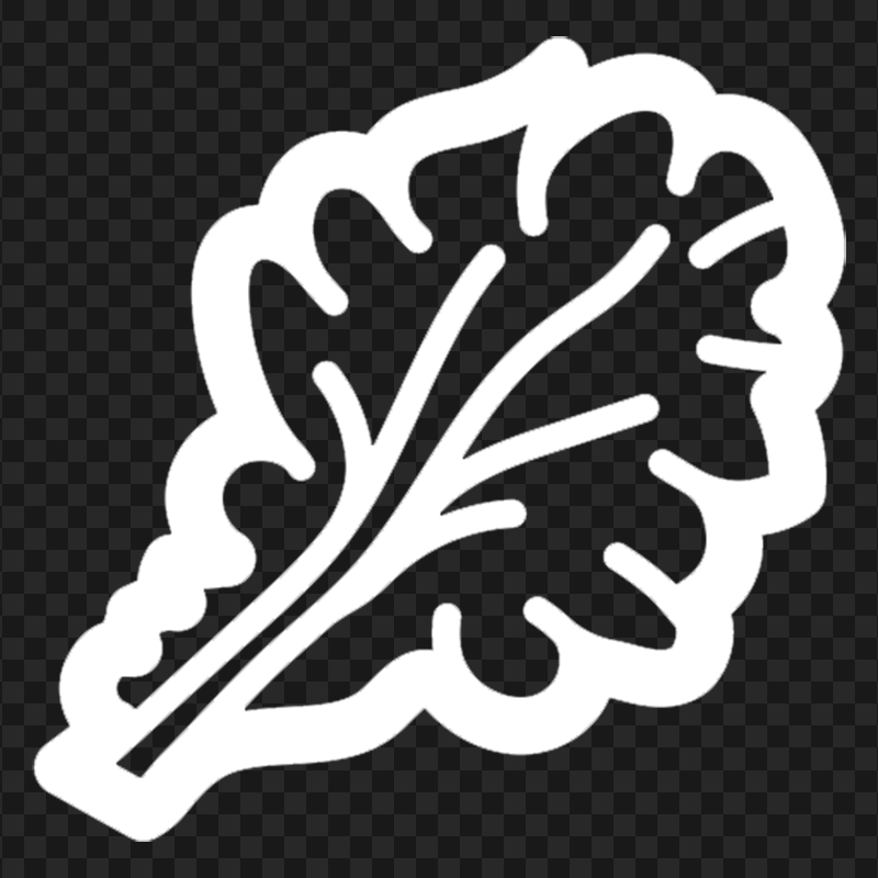 Salad Spinach Lettuce Leaf White Icon