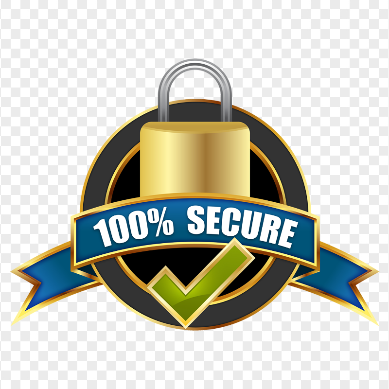 Secure E-commerce Payment System Credit Card Icon