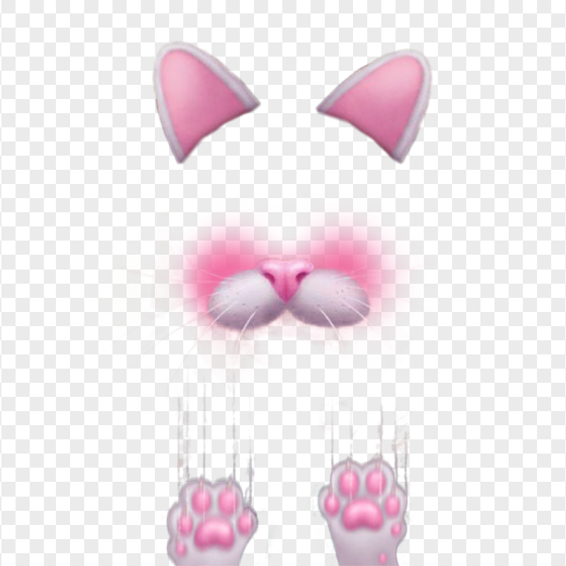 Snapchat Cat Cute Face With Claws Filter Ears & Nose PNG Image