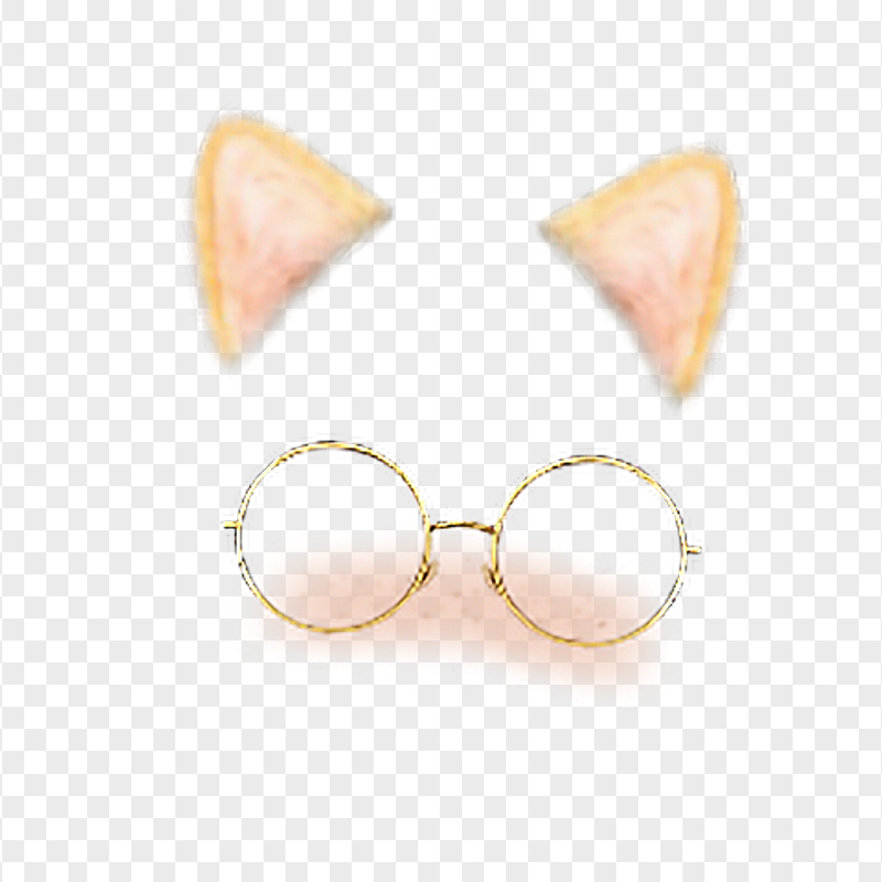 Snapchat Cat Cute Face With Glasses Filter Ears PNG Image