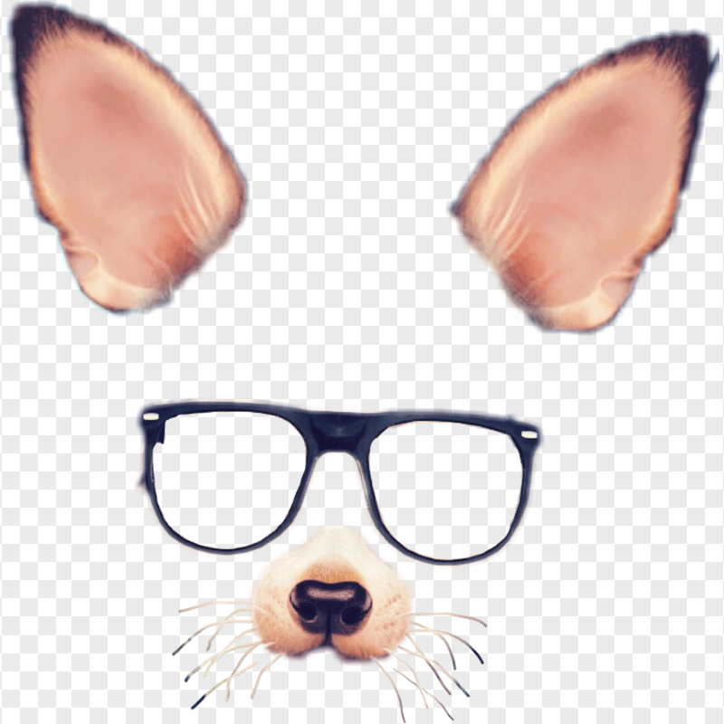 Snapchat Dog Filters Filter PNG Image Free Transparent CityPNG Snapchat Dog Filters Filter PNG Image Free Transparent CityPNG
