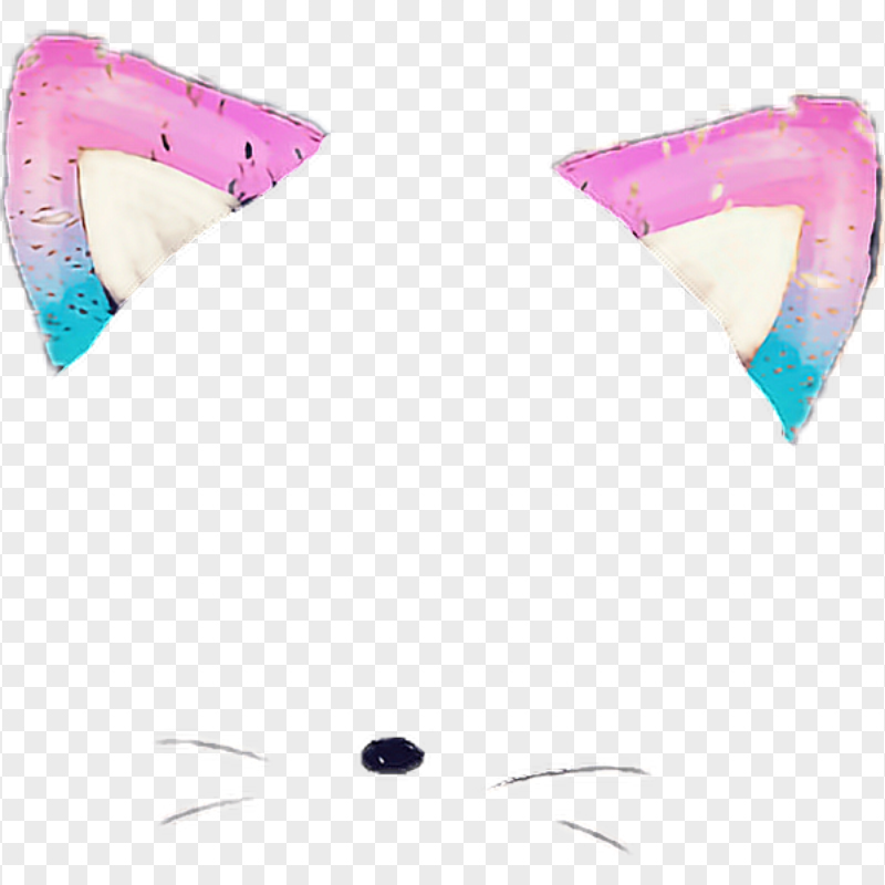 Snapchat Kitten Cat Face Cute Filter Ears & Nose PNG Image