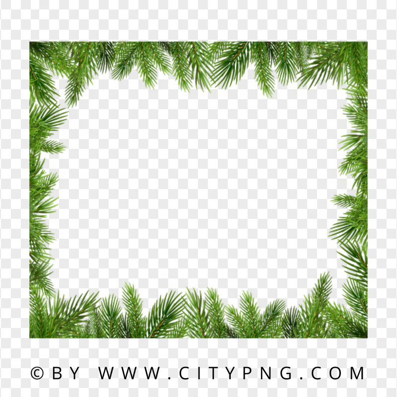 Square Pine Branches Frame FREE PNG