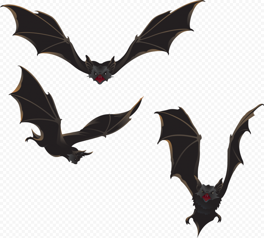 Three Black Realistic Bats Halloween Horror HD PNG