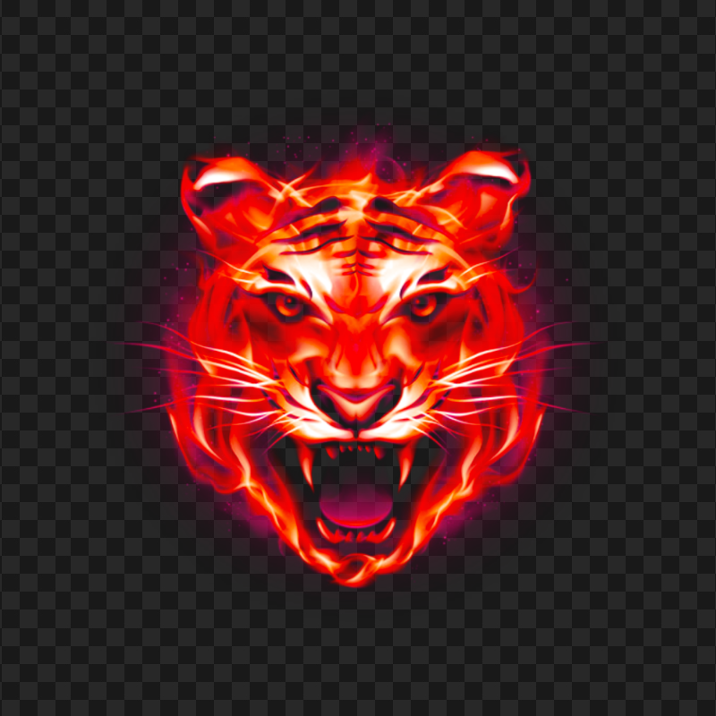Tiger Face Red Fire Flames FREE PNG