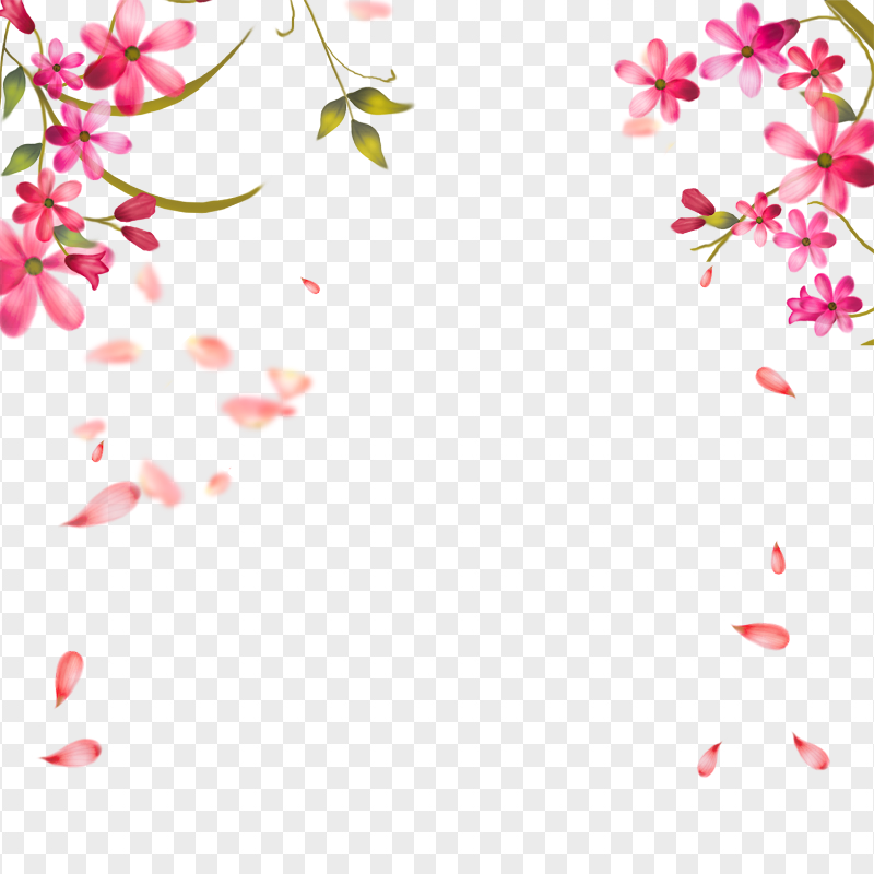 Transparent HD Pink Floral Background