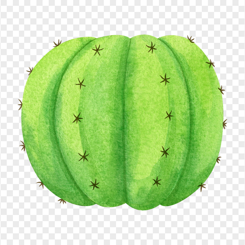 Transparent HD Watercolor Cactus