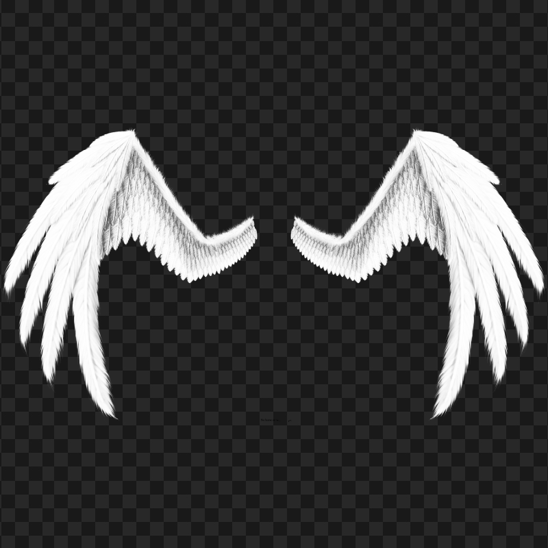 Transparent HD White Angel Wings