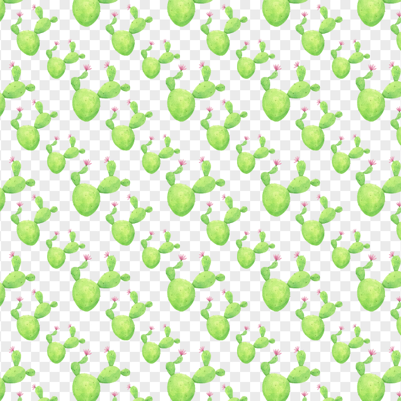 Transparent Watercolor Cactus Pattern Background