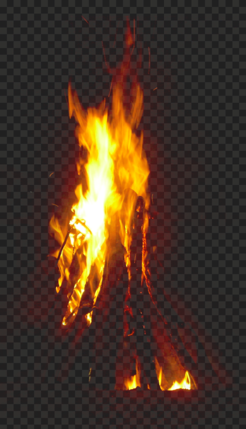 Tree On Fire PNG