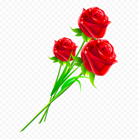 Vector Red Roses Love Valentine's Day HD PNG | Citypng