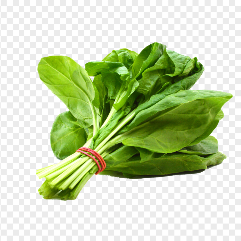 Vegetable Salad Spinach Leaf HD PNG
