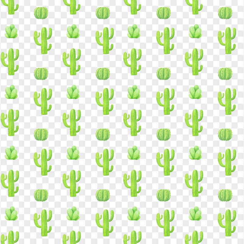 Watercolor Cactus Pattern Background PNG