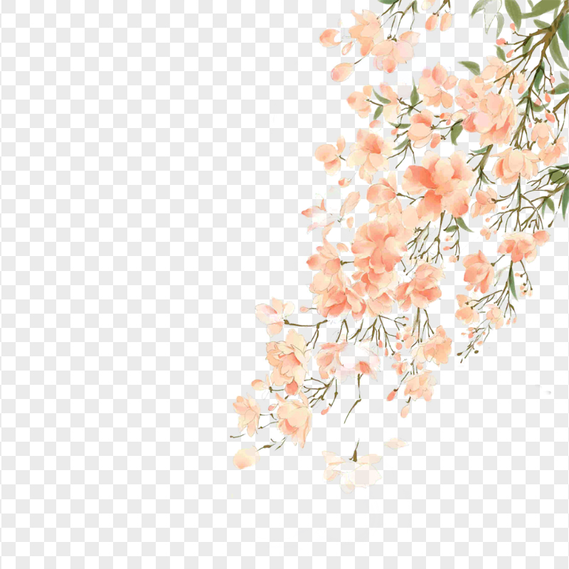 Watercolor Cherry Blossoms Tree PNG
