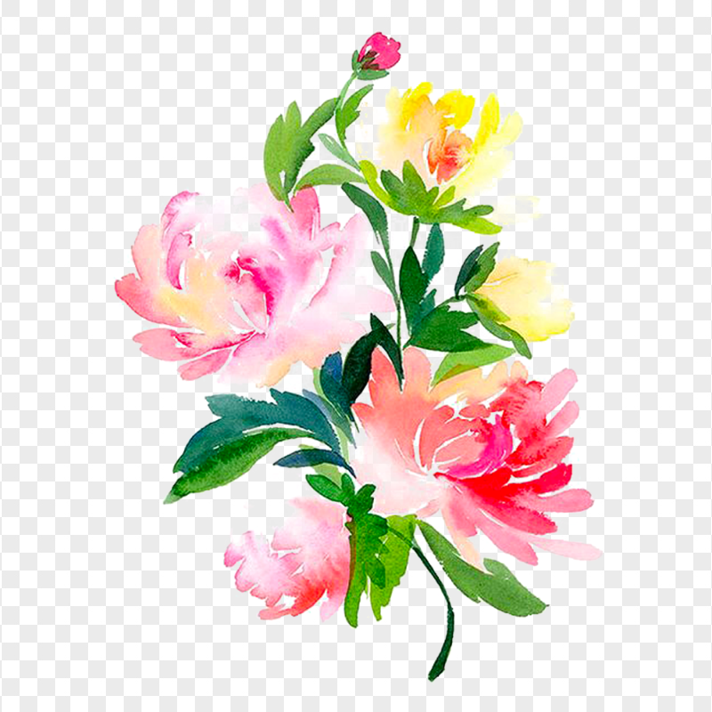 Watercolor Herbaceous Plant Flowers Download PNG