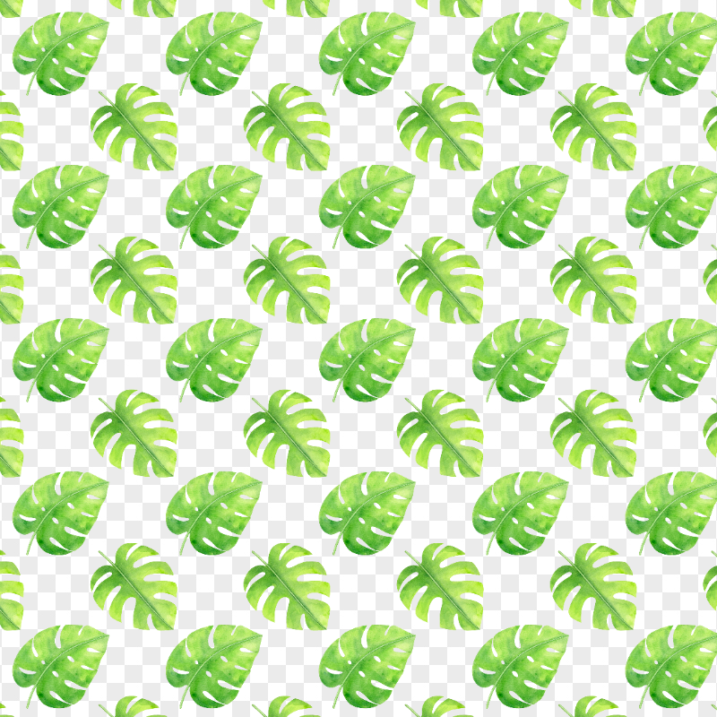 Watercolor Leaves Pattern PNG