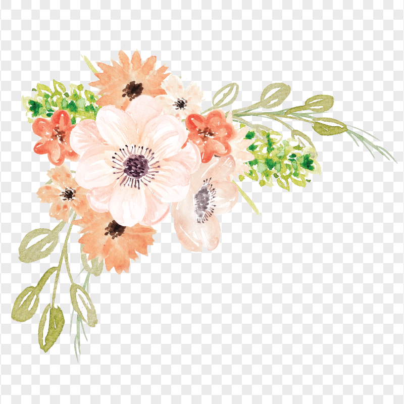 Watercolor Orange Flowers Transparent Background