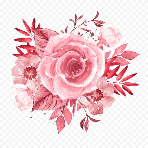 Watercolor Painting Red Flower Rose PNG IMG