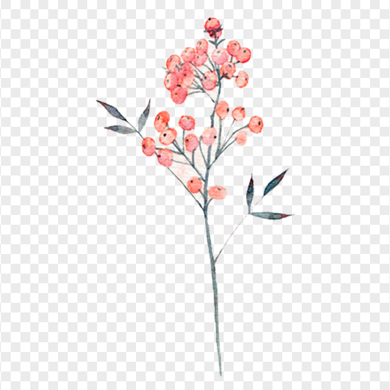 Watercolor Plant Branch FREE PNG