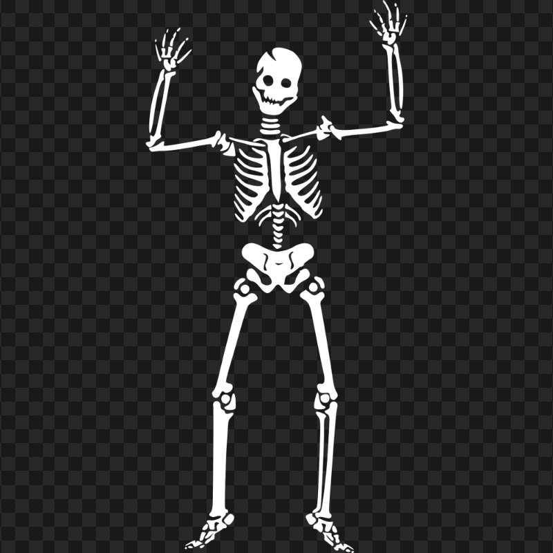 White Skeleton Silhouette PNG
