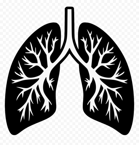Animated Lungs Trachea Clipart Respiratory System | Citypng