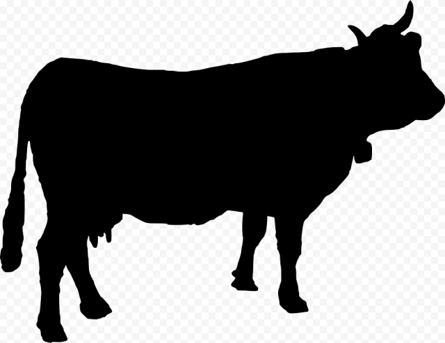 Black Cow Clipart