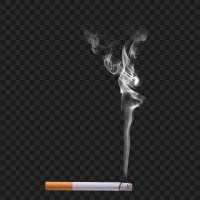 cigarette png hd Transparent Images Free Download | Vector Files Cigarette PNG HD  Free